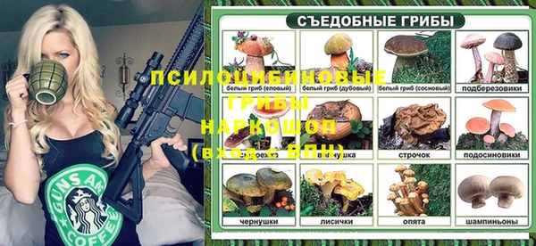 винт Алзамай