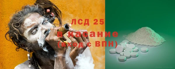 винт Алзамай