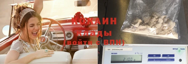 винт Алзамай