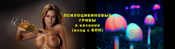 ешки Алексин