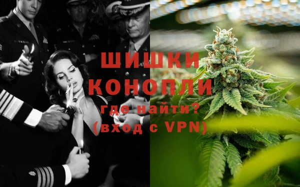 винт Алзамай