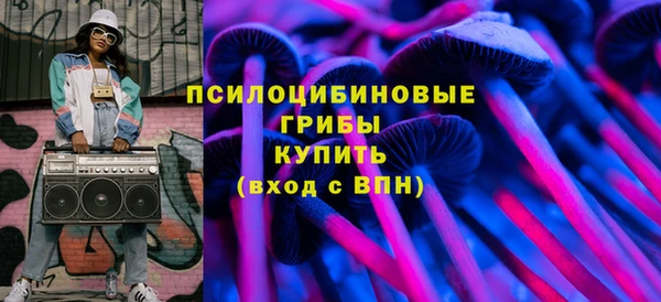 винт Алзамай