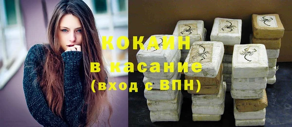 ешки Алексин