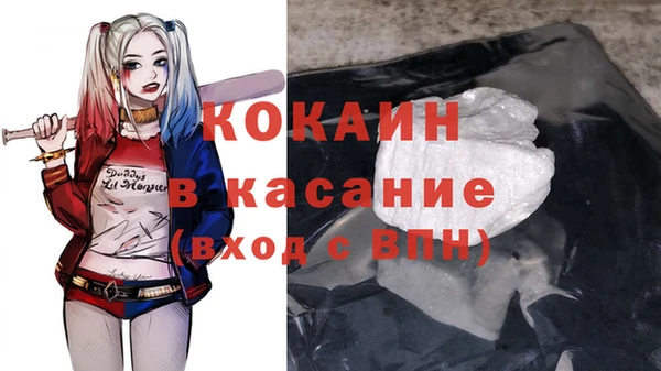 ешки Алексин