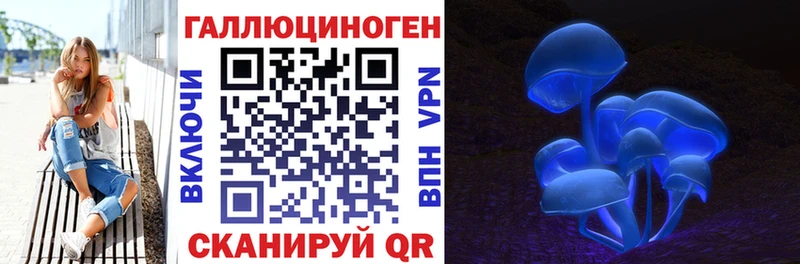 Галлюциногенные грибы Cubensis  Удомля 